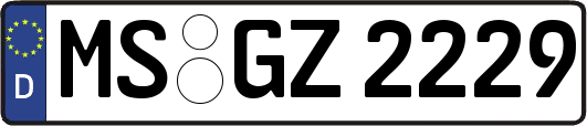 MS-GZ2229