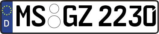 MS-GZ2230