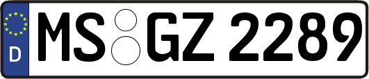 MS-GZ2289