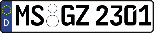 MS-GZ2301