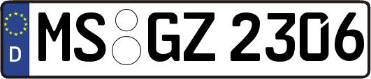 MS-GZ2306