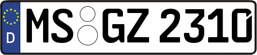 MS-GZ2310