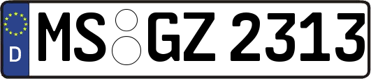 MS-GZ2313