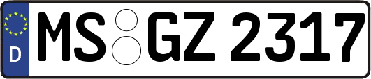 MS-GZ2317