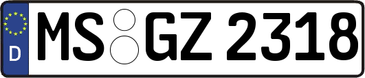 MS-GZ2318
