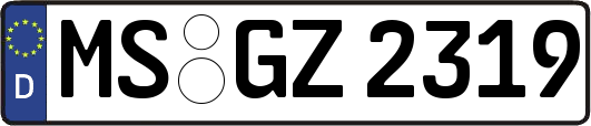MS-GZ2319
