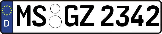 MS-GZ2342