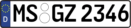 MS-GZ2346