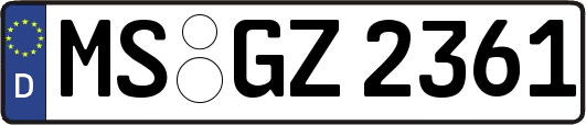 MS-GZ2361