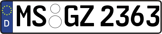 MS-GZ2363