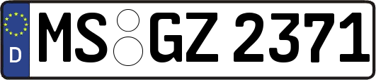 MS-GZ2371
