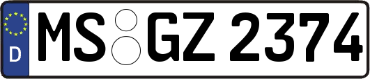 MS-GZ2374