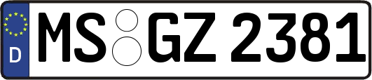 MS-GZ2381