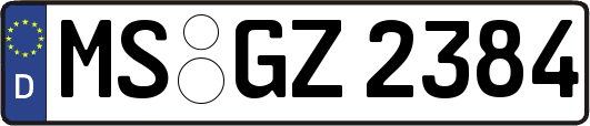 MS-GZ2384