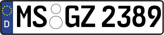MS-GZ2389