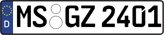 MS-GZ2401
