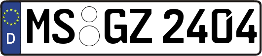 MS-GZ2404