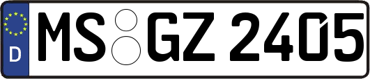 MS-GZ2405