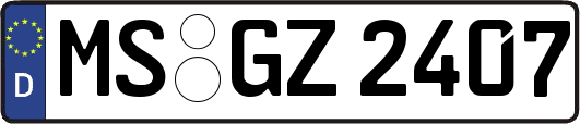 MS-GZ2407
