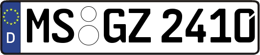 MS-GZ2410