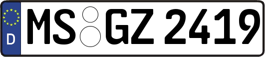 MS-GZ2419