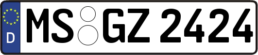 MS-GZ2424