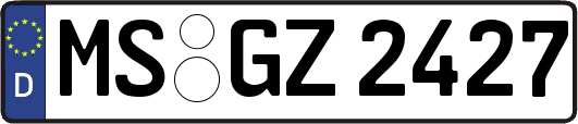 MS-GZ2427