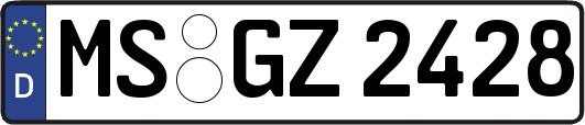 MS-GZ2428