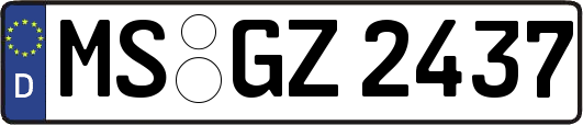 MS-GZ2437
