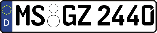 MS-GZ2440