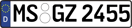 MS-GZ2455