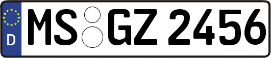 MS-GZ2456