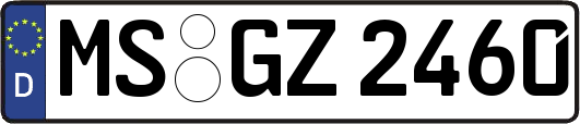 MS-GZ2460