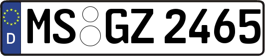 MS-GZ2465
