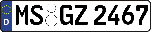MS-GZ2467