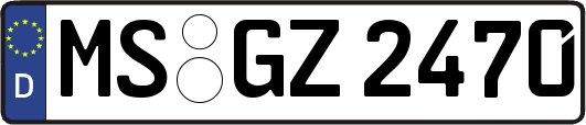 MS-GZ2470