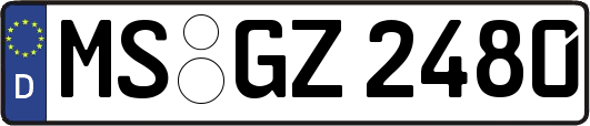 MS-GZ2480