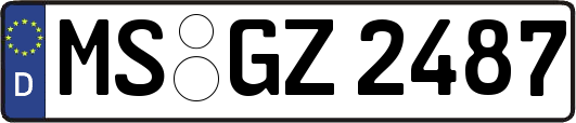 MS-GZ2487