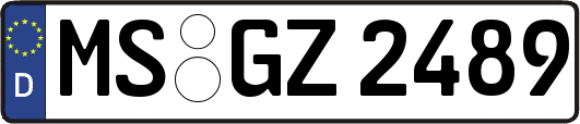 MS-GZ2489