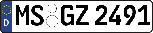 MS-GZ2491