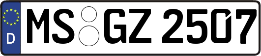MS-GZ2507