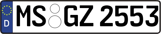 MS-GZ2553