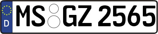 MS-GZ2565