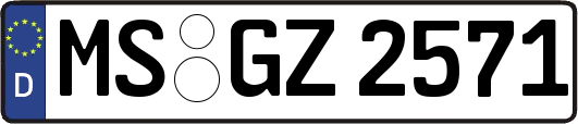MS-GZ2571