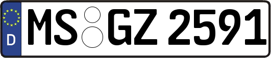 MS-GZ2591