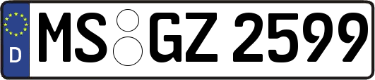 MS-GZ2599