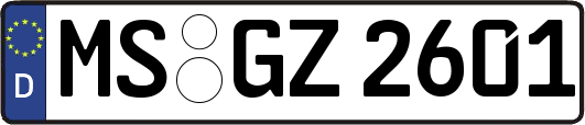 MS-GZ2601