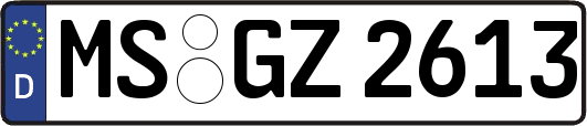 MS-GZ2613