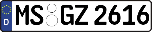 MS-GZ2616