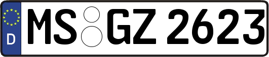 MS-GZ2623